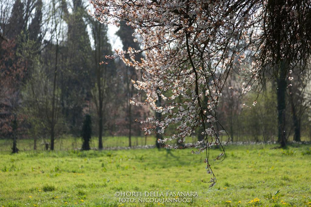 Horti Della Fasanara ξενώνας Φεράρα Εξωτερικό φωτογραφία